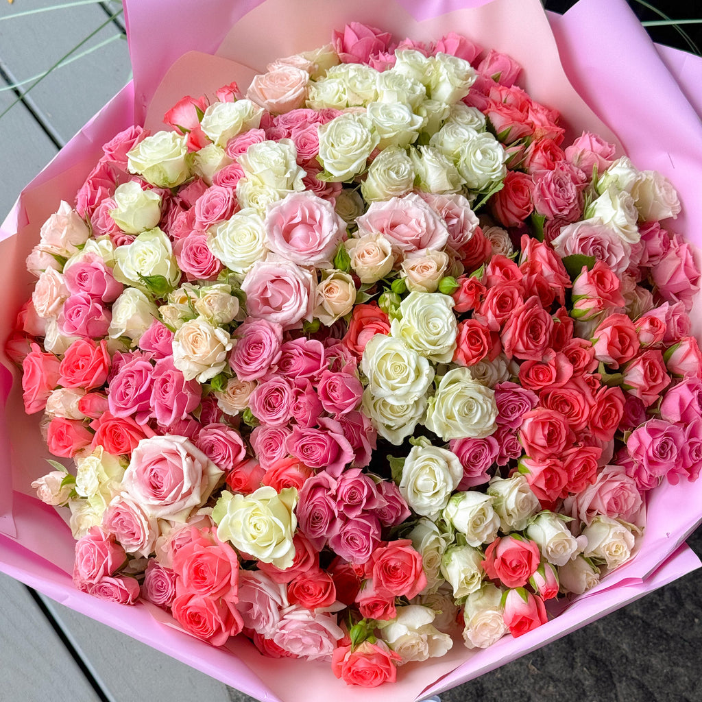 Spray Roses