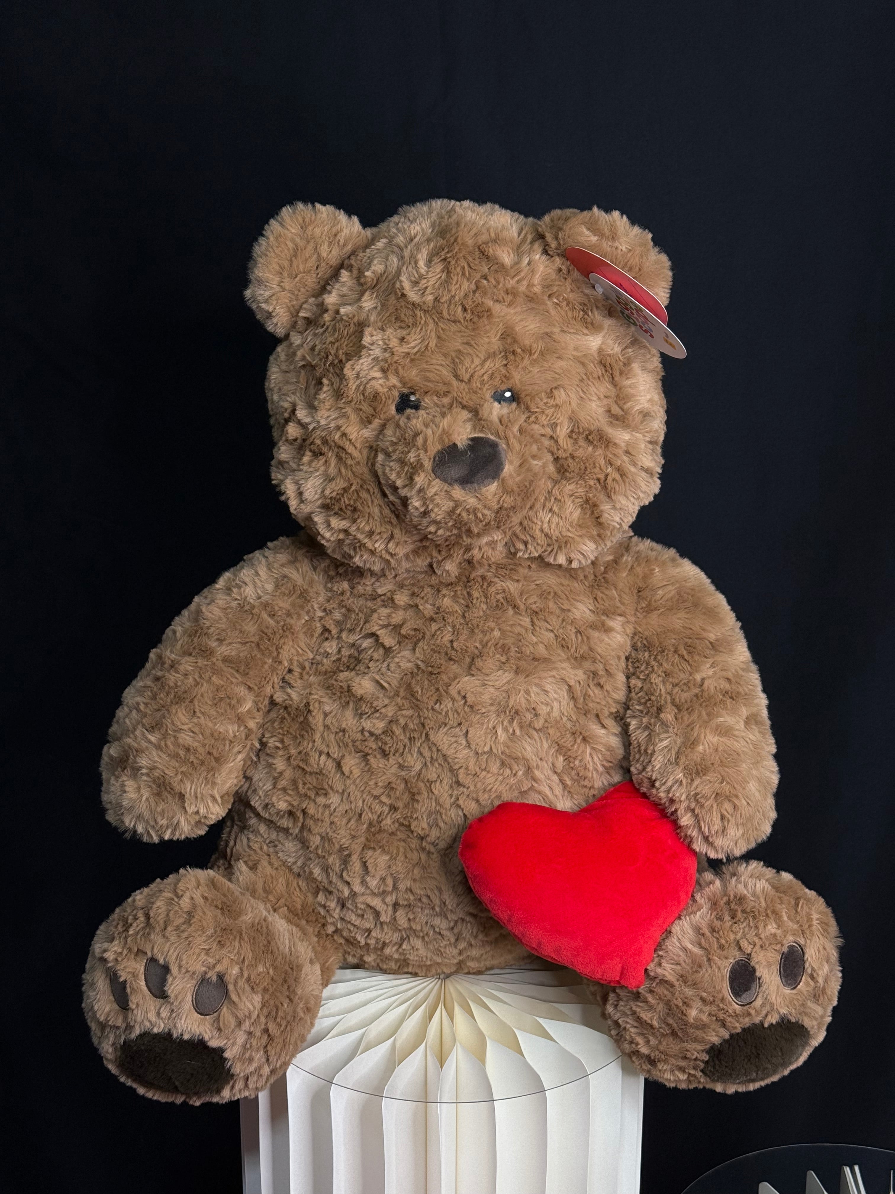 Teddy Bear