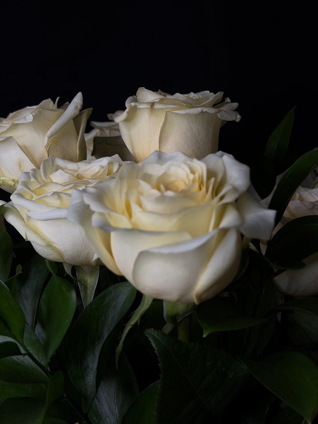 White Rose Arrangement ￼